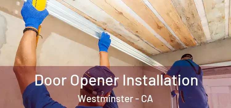  Door Opener Installation Westminster - CA