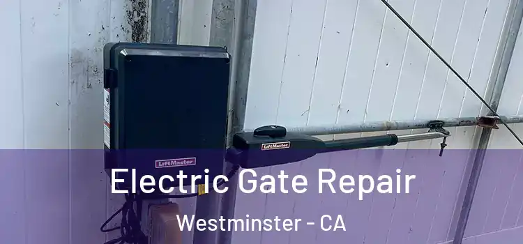  Electric Gate Repair Westminster - CA