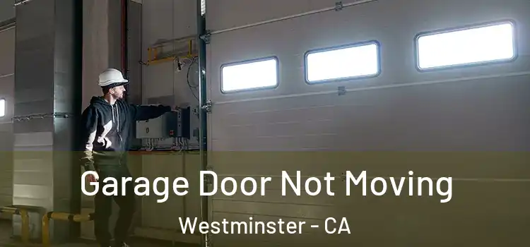  Garage Door Not Moving Westminster - CA