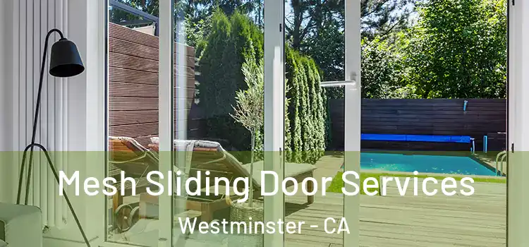  Mesh Sliding Door Services Westminster - CA
