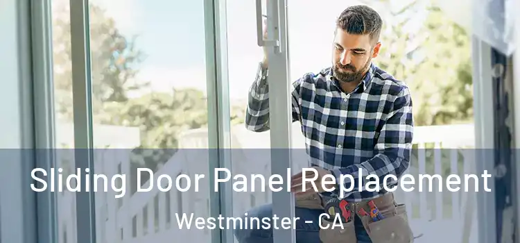  Sliding Door Panel Replacement Westminster - CA